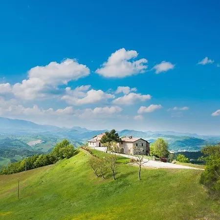 Apartment Pet Friendly In Sant'Angelo in Vado