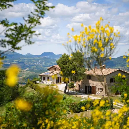 Pet Friendly In SantʼAngelo in Vado