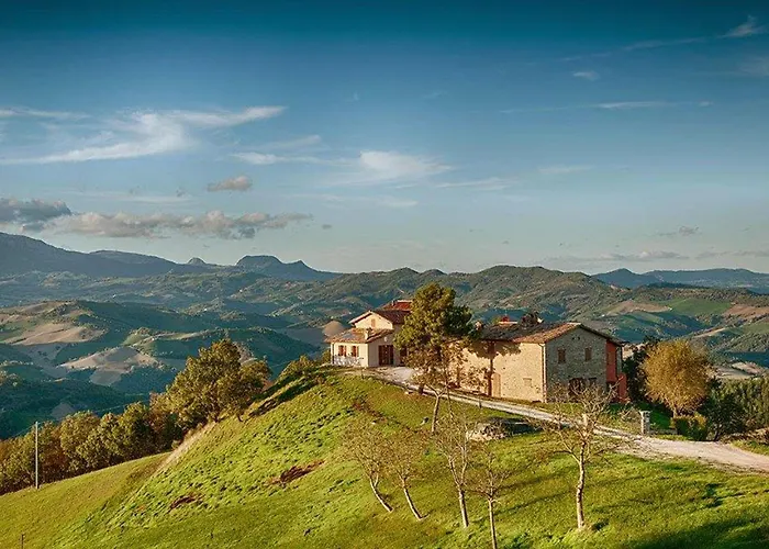 Pet Friendly In Sant'Angelo in Vado